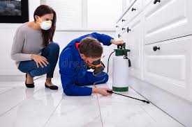 Best Residential Pest Control  in Mountain View, CA